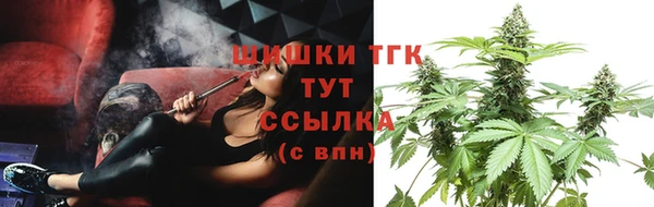 шишки Балахна